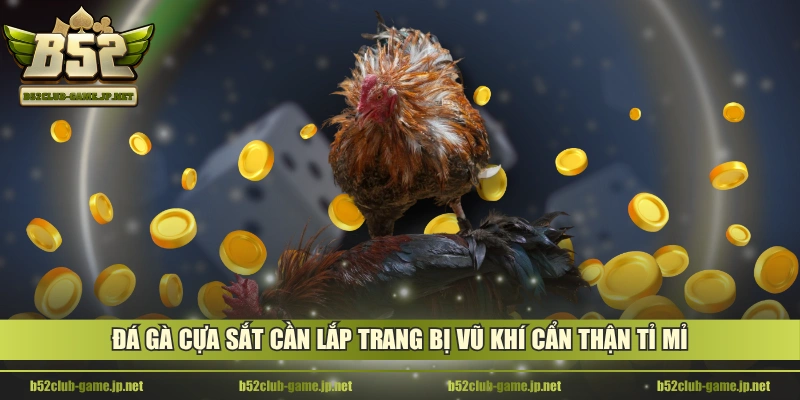 Đá gà cựa sắt cần lắp trang bị vũ khí cẩn thận tỉ mỉ