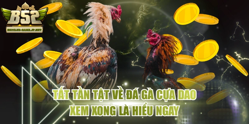 Tất Tần Tật Về Đá Gà Cựa Dao - Xem Xong Là Hiểu Ngay